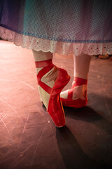 red ballet pointe shoes dorothy
