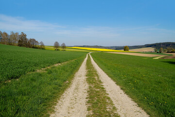 endless road leading through the green fields of the tranquil Bavarian countryside by the Rechbergreuthen village on a sunny spring day (Winterbach, Guenzburg, Bavaria, Germany)