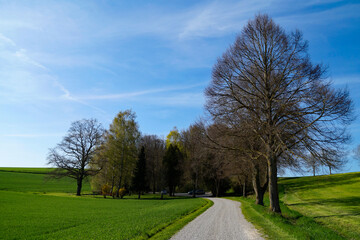 Obraz premium a tranquil, clear, warm and sun-drenched spring day in the Bavarian countryside in Winterbach surrounded by the sunny green fields and lush woods, Winterbach, Swabia, Bavaria, Germany 