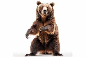 Powerful Majestic Bear Pose. Impressive picture of a big brown bear standing up on hind legs, isolated on a white background. Wildlife concept AI Generative