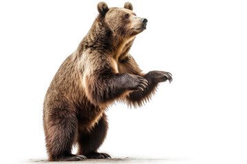 Powerful Majestic Bear Pose. Impressive picture of a big brown bear standing up on hind legs, isolated on a white background. Wildlife concept AI Generative