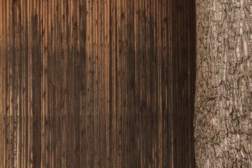 Fototapeta premium Wood as texture, tree trunk crust and wooden planks