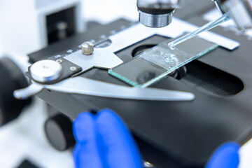 Medical test sample under microscope in laboratory, close up, scientist examines microorganisms.