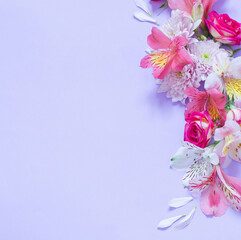Fototapeta premium alstroemeriaand chrysanthemums flowers on violet background
