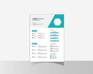 Professional Resume Design Template
