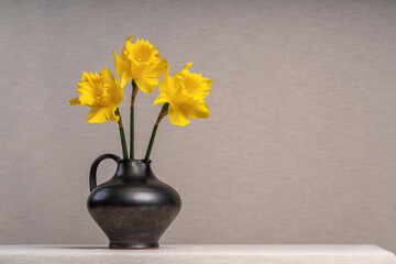 Bouquet of yellow spring flowers. Daffodils in a glass, light brown, transparent vase.Light gray background. Joyful mood.