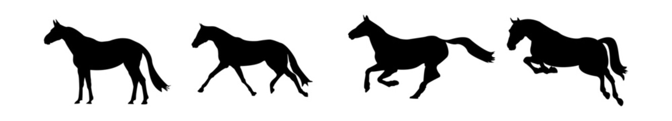 Collection of vector illustrations with horses on white background. Vector horse set, horse silhouette, rearing horse, horse logo templates and design elements
