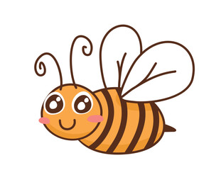 Honey bee