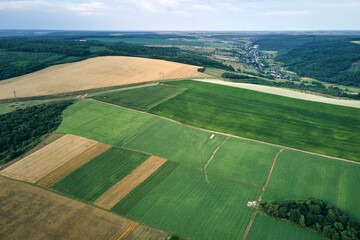 Aerial landscape view of green and yellow cultivated agricultural fields with growing crops on...
