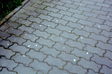 Cobblestone pavement with chewing gums stuck to it