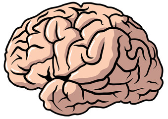 Bitmap drawing of a brain.