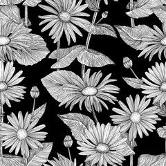 Floral seamless pattern. Background with daisies. Hand-drawn. Graphics. Engraving