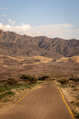 Scenic view of the desert road with trees and the rocky mountains in the background, palms, on a sunny day
