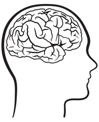 Brain in head line art drawing.