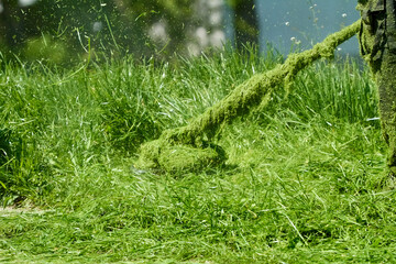 Mowing green grass with a gasoline trimmer in the park