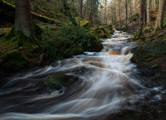 waterfall in the woods