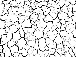 Vector Grunge Texture