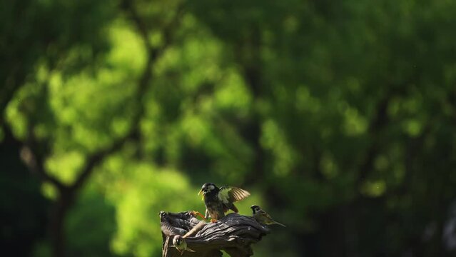 Nature's law of the jungle - survival of the fittest.