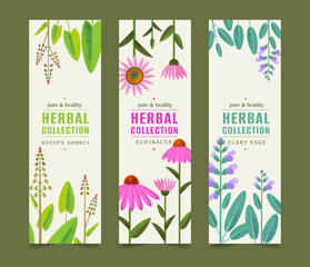 Organic Collection, Eco Shop, Natural Cosmetic Store with Premium Quality Cards or Posters Set. Selling Products Advertisement. Natural Design with Leaves in Different Colors. Herbs.