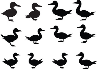 
A black and cute duck silhouette vector is a digital graphic that depicts the outline of a duck in a simplified  way. The vector is created using software such as Adobe Illustrator or