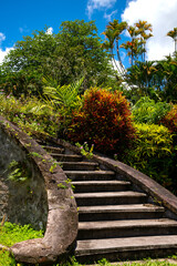 Curved stone stairs in a public  garden in Saint Pierre on french island Martinique. Lush tropical vegetation with palm trees, flowers and moss overgrowing weathered concrete steps on a sunny day.