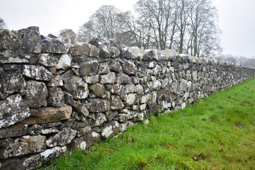 Stone wall in Ireland