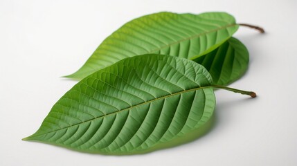 Kratom powder, leaves 