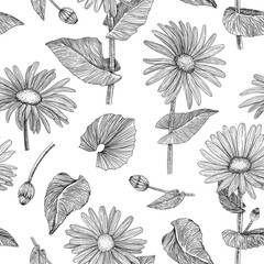 Floral seamless pattern. Background with daisies. Hand-drawn. Graphics. Engraving