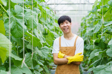 Happy cheerful Asian watermelon worker inspecting or analyzing an agricultural product quality.