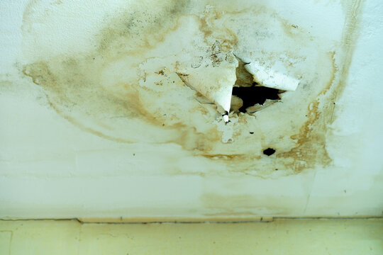 Broken ceiling structure inside the old building, ceiling fully and covered with a dust and fungus.
