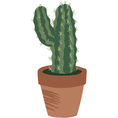Cactus in pot vector succulent flat flower icon