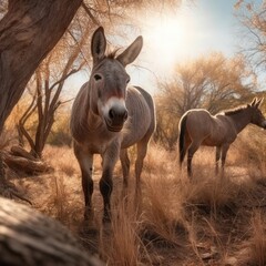 Fototapeta premium Donkey in natural habitat (generative AI)