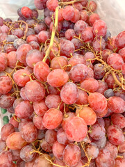 Grapes on market stand. Healthy fruits Red wine grapes background