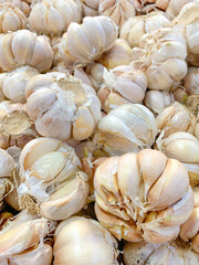 Garlics clove with close up photography. Field of view. Look satisfying with close up photography. Field of view. Look satisfying