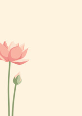 pink lotus background