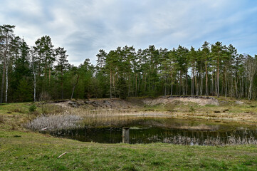 Fototapeta premium Kleiner See mit Bäumen in der Lüneburger Heide bei Wilsede am Wilseder Berg, Lüneburg, Niedersachsen, Deutschland bei blauem Himmel