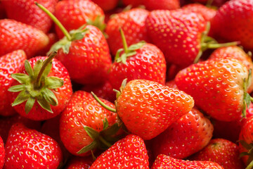 Fresh organic red strawberry fruit background