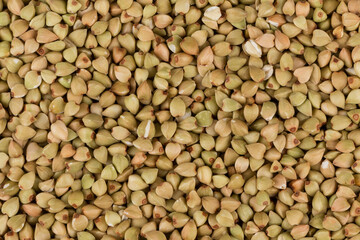 organic bio buckwheat