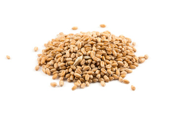 Wheat grain on white
