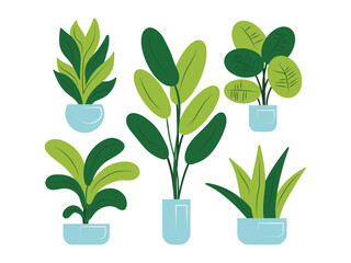 indoor plants, flowerpots in pots, plant set