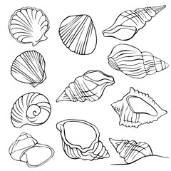 set with drawn contour seashells