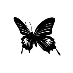 Butterfly | Black and White Vector illustration