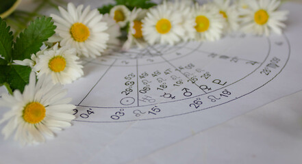Detail of printed astrology chart with planets in Leo,  white daisy flowers in the background,...