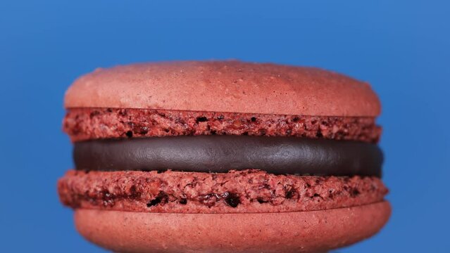 Rotation of a chocolate macaron on a blue background.Macro macaron.close up of a traditional french macaron.sweets, pastry and food concept.