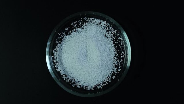 Sodium benzoate, sodium salt of benzoic acid in Petri dish. Counterclockwise rotation. White crystalline powder. Food additive E211, Food Preservative used in medicines and cosmetics.