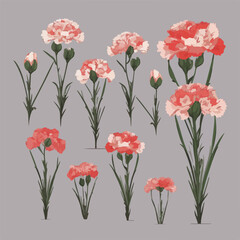 A collection of minimalist carnation flower illustrations in black and white.