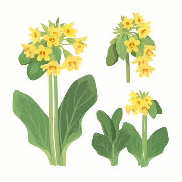 A pack of cute cowslip flower stickers for your designs.