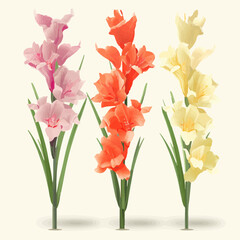 Pack of artistic gladiolus flower illustrations with intricate details and artistic flair.