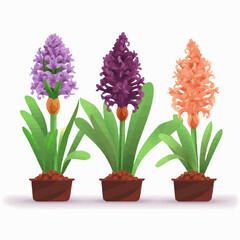 Set of elegant hyacinth flower illustrations in vector format.
