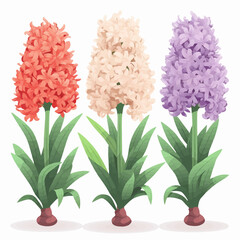 Fototapeta premium Set of delicate hyacinth flower stickers to add a touch of grace to your artwork.